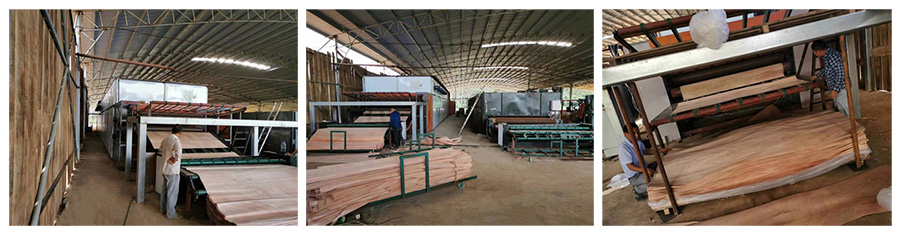 Mesh Belt Dryer Mesh Belt Dryer