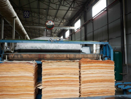2 deck veneer dryer