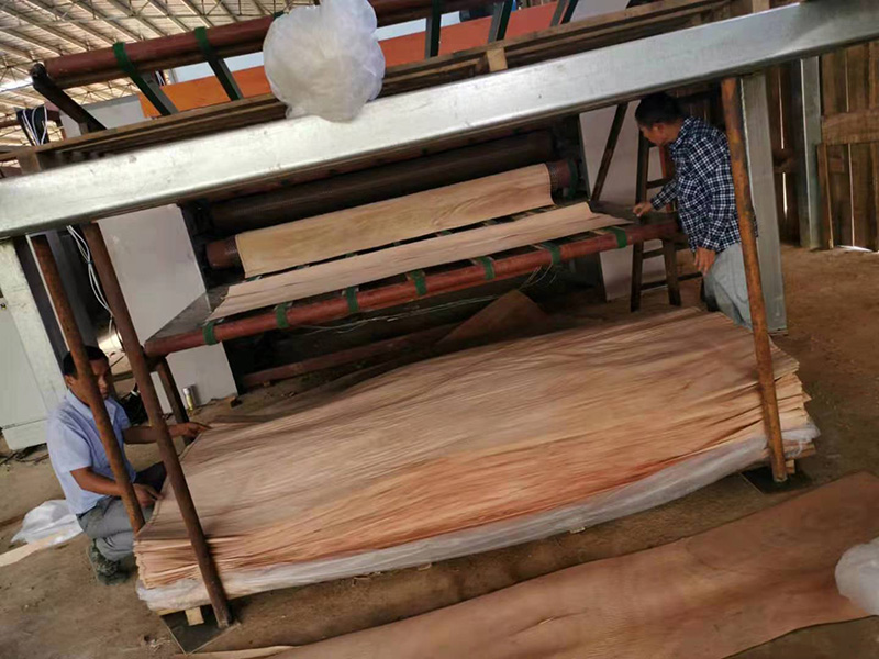 مجفف حزام شبكي بقشرة مجفف حزام شبكي بقشرة