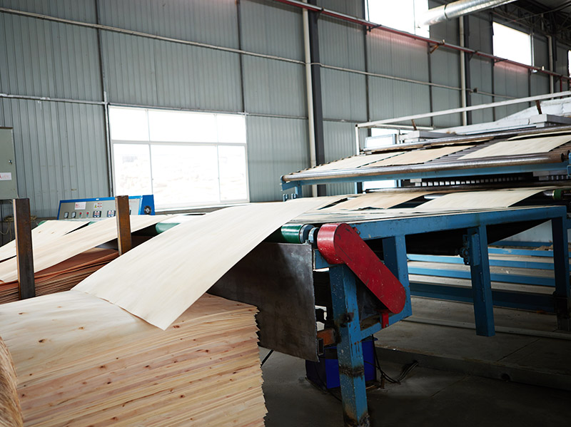 pengering veneer.jpg pengering veneer.jpg