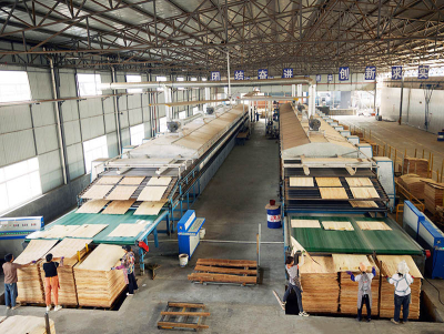 Veneer အခြောက်ခံနည်းပညာ