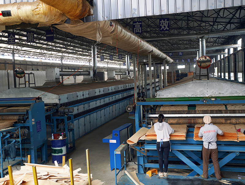 Core Veneer Dryer Machine.jpg Core Veneer Dryer Machine.jpg
