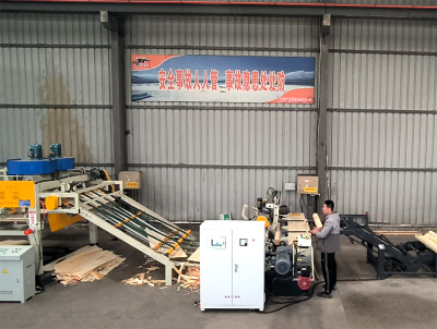 베니어판 생산 라인