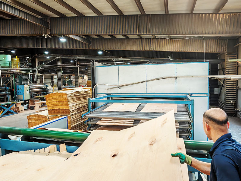pengeringan veneer.jpg pengeringan veneer.jpg