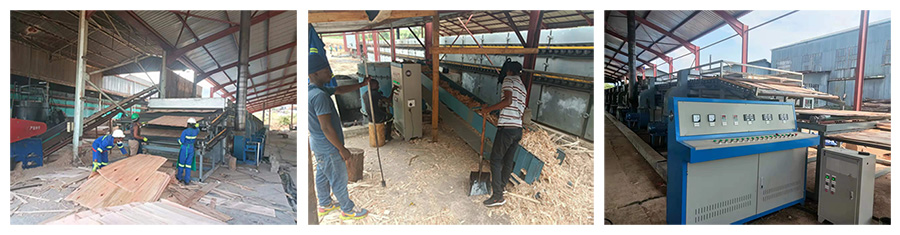 Biomass Veneer Dryer Biomass Veneer Dryer