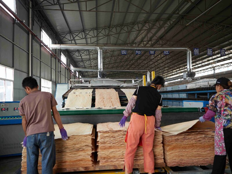 essiccatore per impiallacciatura