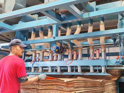 veneer အခြောက်ခံခြင်း။