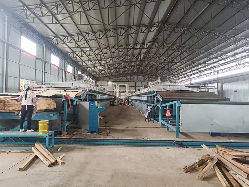 Secado de chapa con rodillo central Core Roller Veneer Drying