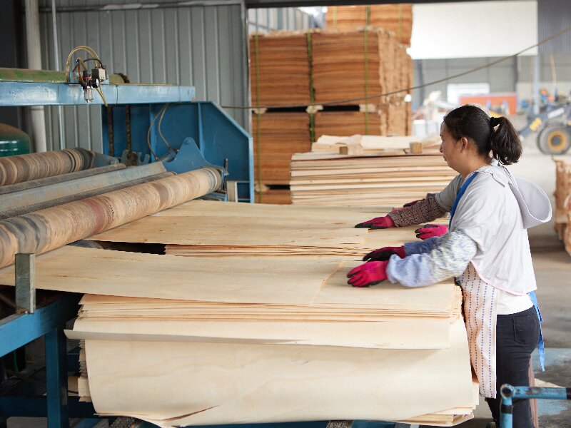 نظام تغذية شبه آلي