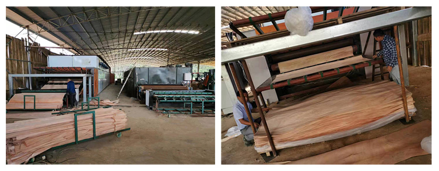 Mesh Belt Dryer Mesh Belt Dryer