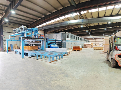 veneer အခြောက်ခံစက်