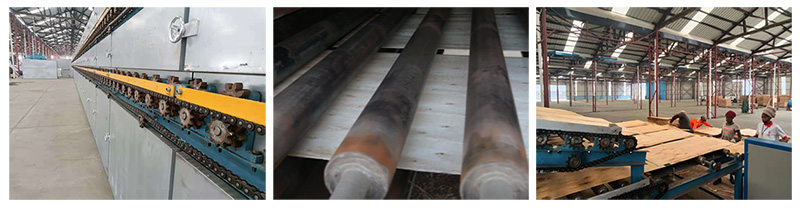 secador de chapa veneer dryer