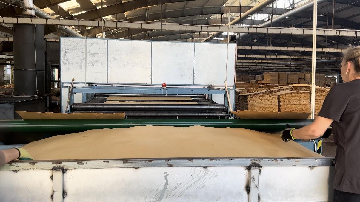secado de chapa de madera dura secado de chapa de madera dura