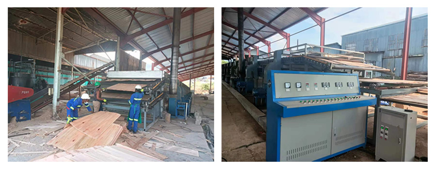 Heat Thermal Oil veneer dryer Heat Thermal Oil veneer dryer