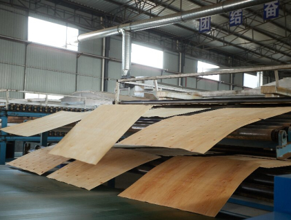 wood veneer dryer