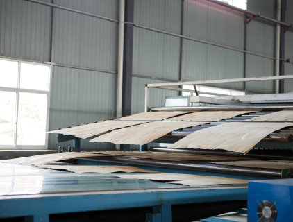 Veneer Drying Machine