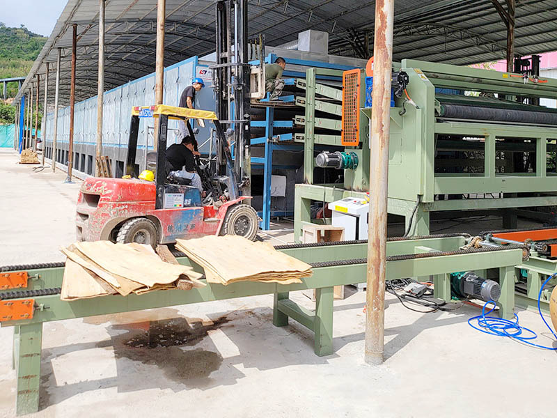 veneer drying veneer drying
