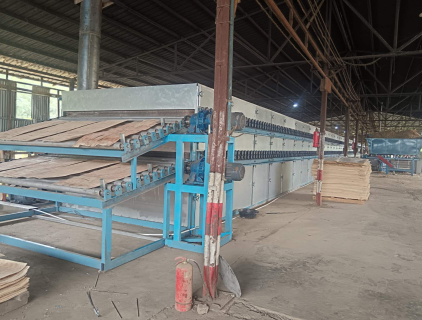 essiccatore per impiallacciatura