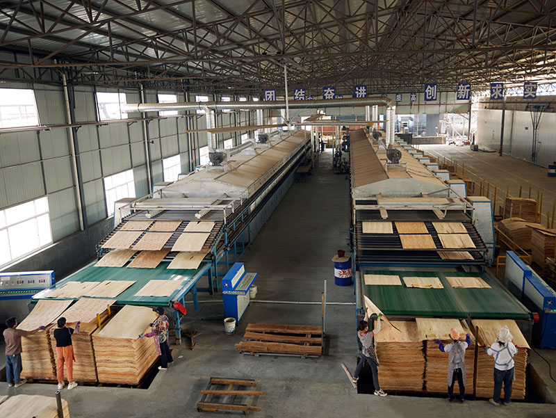 Roll Jet Veneer Dryer