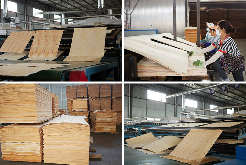 veneer dryer.jpg veneer dryer.jpg