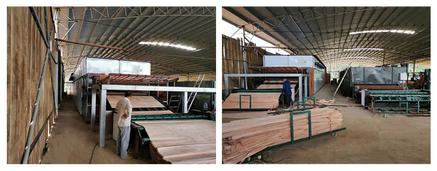 Mesh Belt Dryer Mesh Belt Dryer
