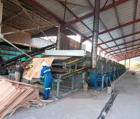 Машина для сушки шпона