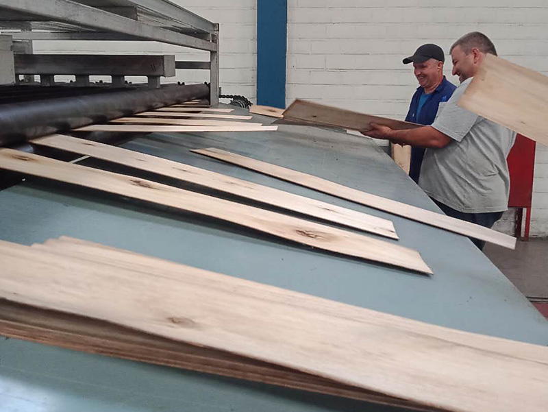 Biomass Burner Veneer အခြောက်ခံစက် Biomass Burner Veneer အခြောက်ခံစက်