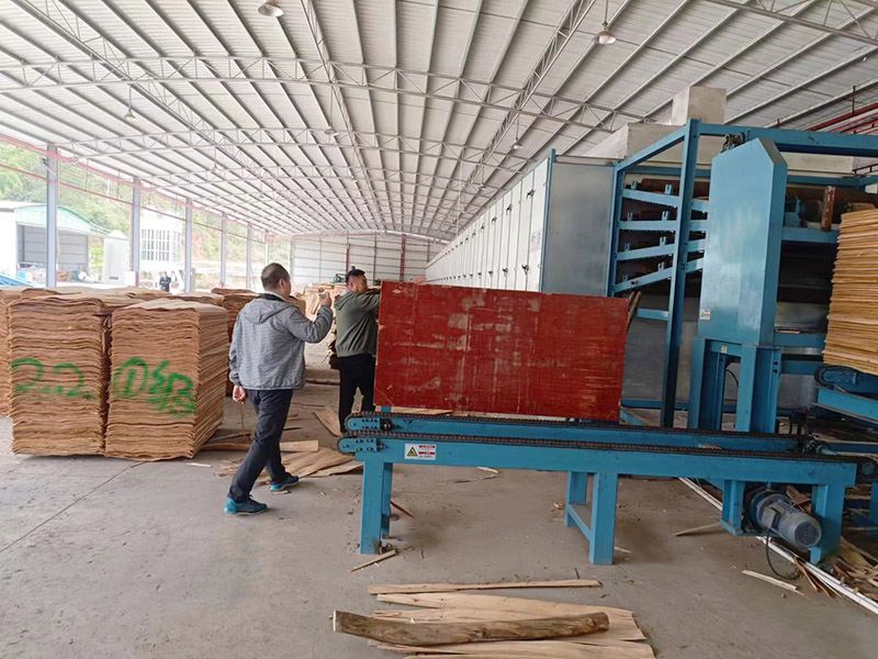 روکش خشک کردن.jpg روکش خشک کردن.jpg