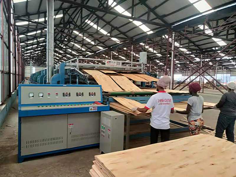 secador de chapa veneer dryer
