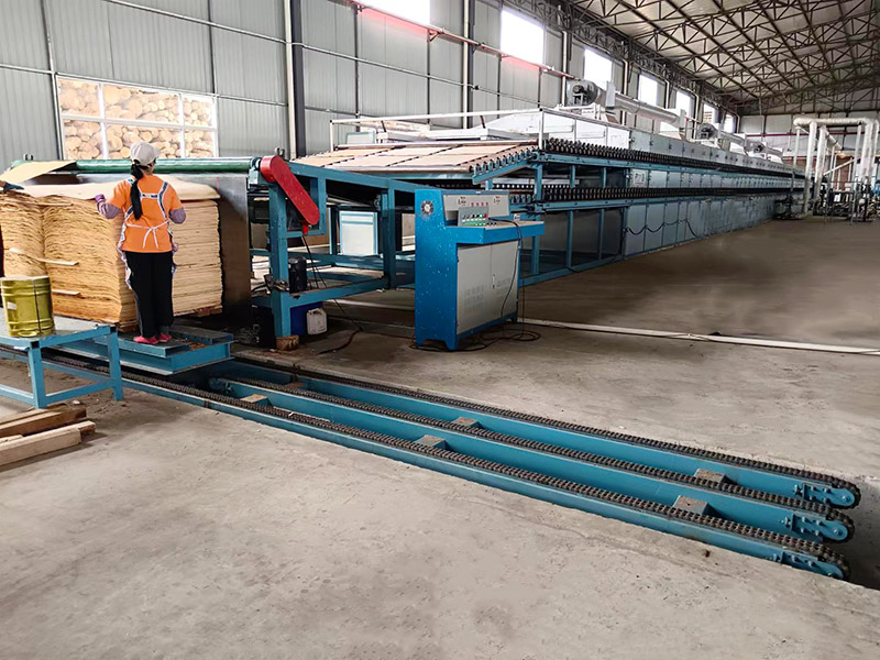 Biomassa droogmachine Biomass Drying Machine