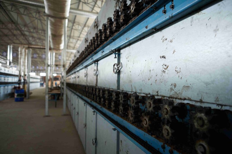 wood veneer dryer