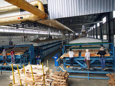 Veneer Roller အခြောက်ခံစက်