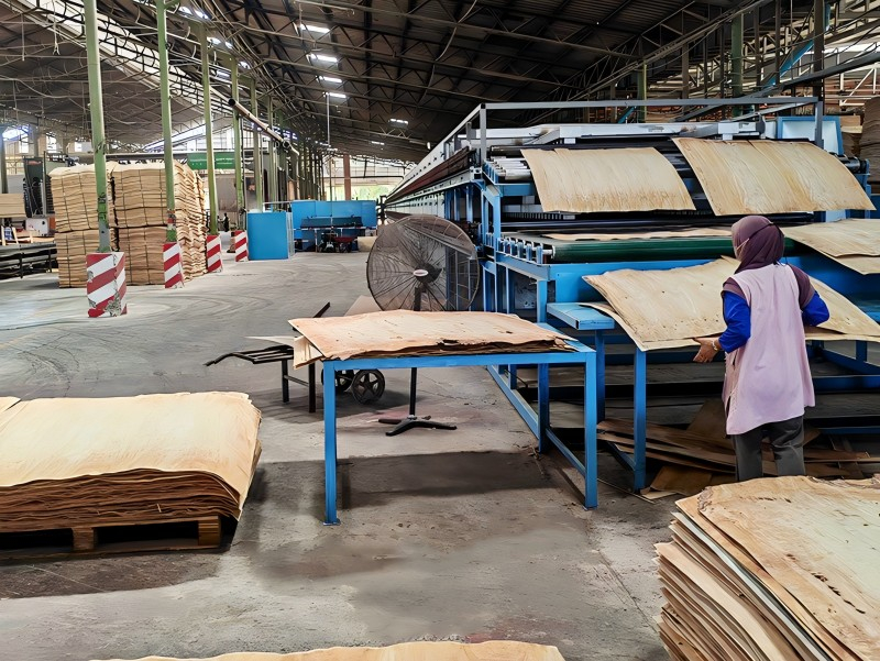 Швидкий висихання