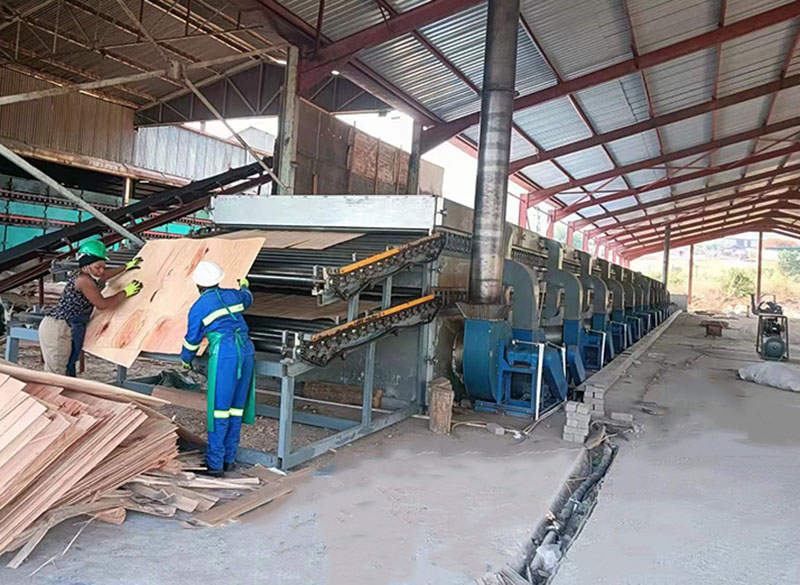 secador de chapa veneer dryer