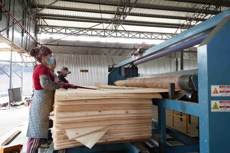 veneer dryer veneer dryer