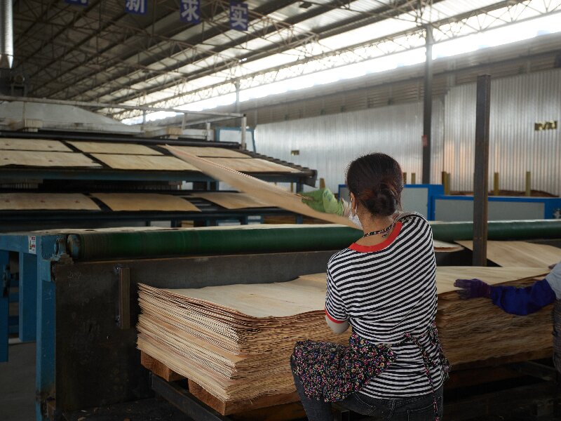 သစ်သား veneer သစ်သား veneer